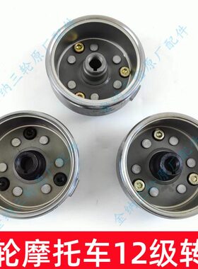 宗申 隆鑫 福田 大阳 三轮摩托车12级160瓦 200瓦 250瓦转子本体