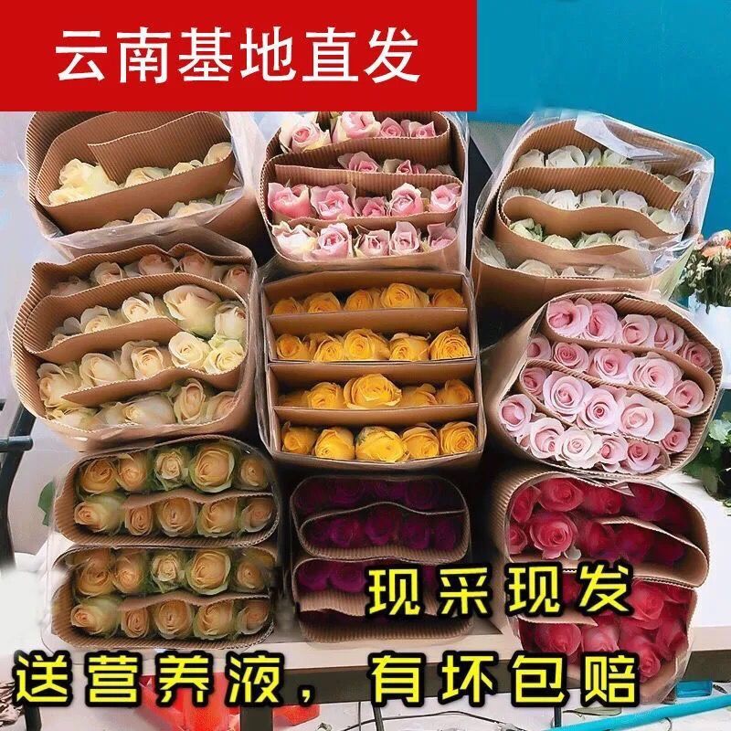 真花玫瑰花鲜花云南昆明基地直发家用水养客厅插花束速递