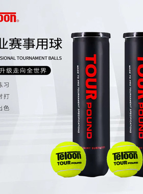 Teloon天龙网球Pound P4冲击波比赛罐装高性价弹跳好气压足4个装