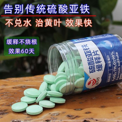 硫酸亚铁缓释肥片缺铁黄叶