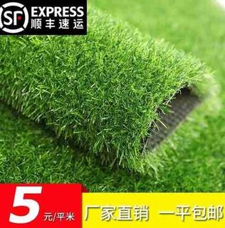 草坪垫子假草绿色塑料墙面地毯户外仿真人造室内绿植装饰人工草皮
