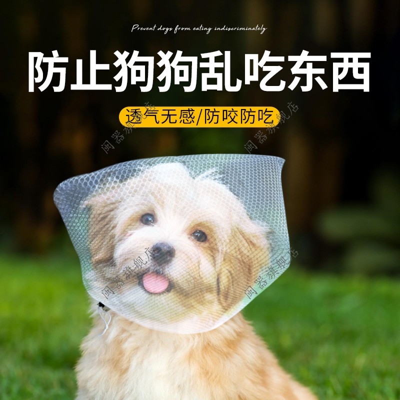 防止狗狗乱吃东西狗狗嘴套防咬乱吃嘴罩防舔网套小型口罩神器