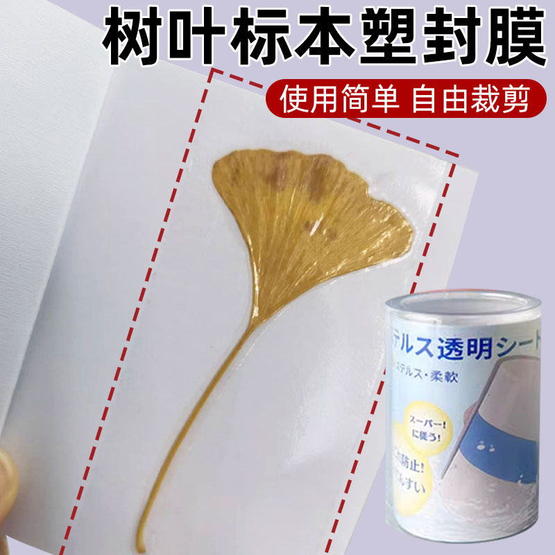 树叶标本塑封膜植物标本塑封膜粘贴画干花书签手工diy材料自粘塑封