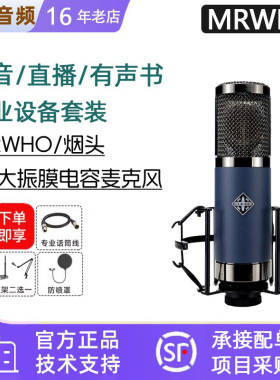 MRWHO烟头 F11大震振膜电容话筒晶体管烟头歌手网红专用直播麦克
