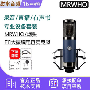 F11大震振膜电容话筒晶体管烟头歌手网红专用直播麦克 MRWHO烟头