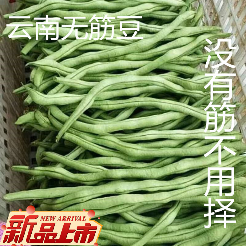 云南无筋豆非四季豆芸豆新鲜蔬菜嫩豆扁豆刀豆无茎豆农家自种包邮