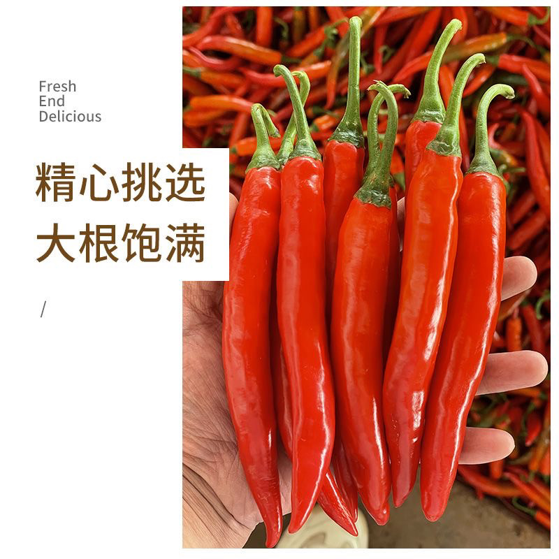 新鲜美人椒辣椒早熟杂交高产耐热青红两用海花红辣椒