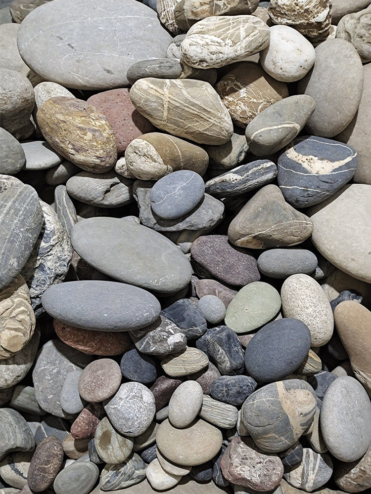 天然溪流鹅卵石大号鱼缸造景铺路花园装饰池围边庭院园林景观石头