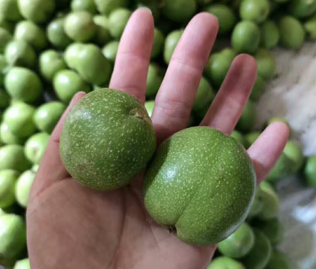 青皮核桃5斤新鲜带绿皮现摘中草药汁农家自产湿核桃鲜嫩泡酒1/3斤