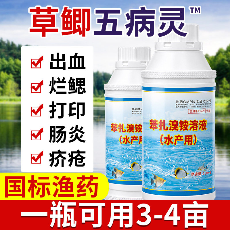 草鱼鲫鱼五病灵水产养殖鱼防治爆发性出血烂鳃药赤皮打印腐皮烂身