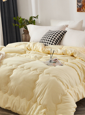 冬被200x230双人10斤被子春秋被白色酒店宾馆学生宿舍被芯150x200