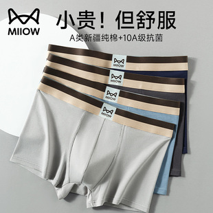 内裤 衩男青少年大码 男生纯棉裤 抗菌透气四角短裤 头平角裤 猫人男士