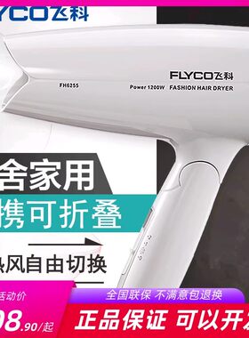 飞科折叠电吹风1200W冷热风3档