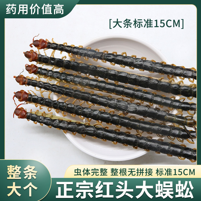 湖北蜈蚣干中药材野生红头大蜈蚣15厘米蜈蚣肉整条可磨粉泡酒药材