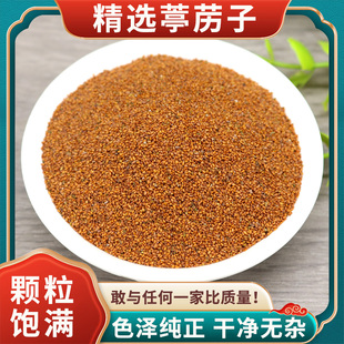 精选葶苈子500g克正品干净新货 葶苈籽南葶苈籽甜葶苈亭力子