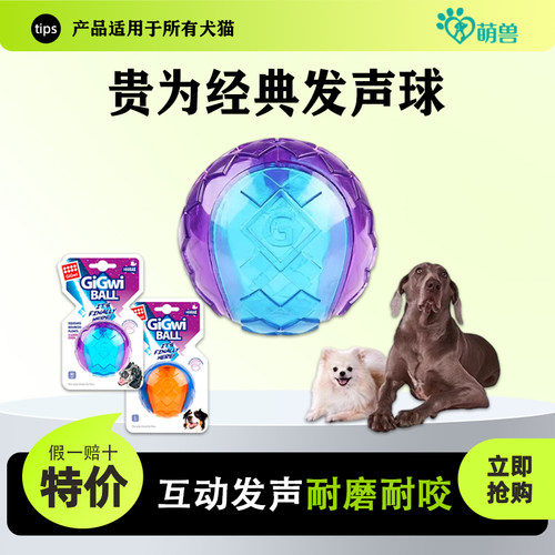 贵为狗狗玩具球磨牙耐咬发声互动