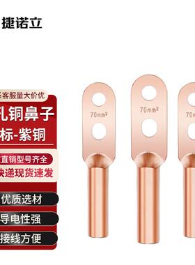 捷诺立(JNL)N55293双孔铜鼻子DTS-630平方国标接线端子紫铜加厚铜