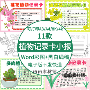 植物记录卡手抄报电子版模板三年级自然笔记我的植物朋友名片线稿