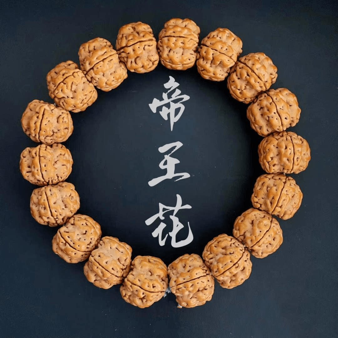 原籽帝王花大金刚菩提子手串矮桩五星双龙梅花小金刚花王树王单圈图片