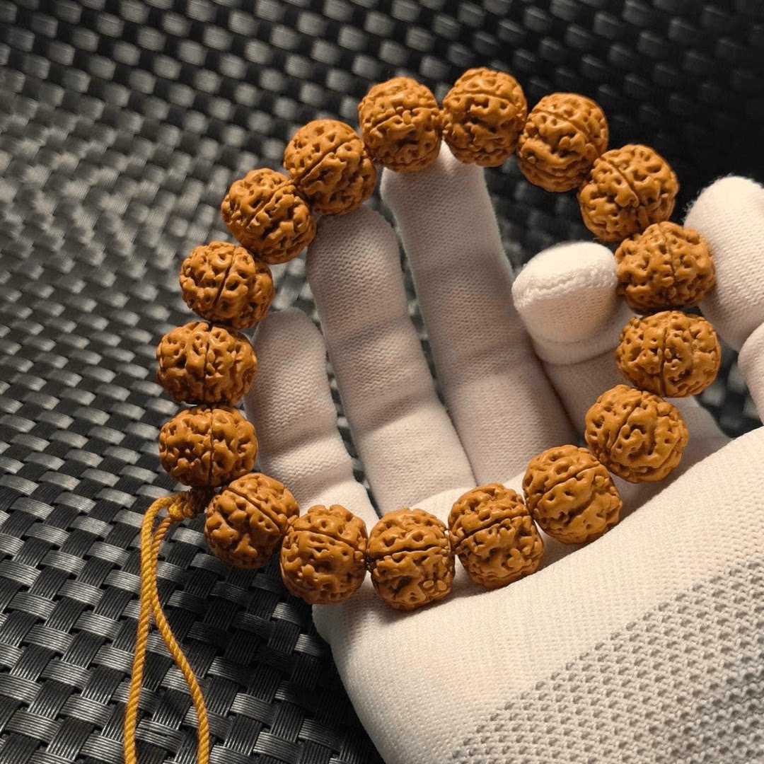 【大金刚】帝王花五星龙爪花王双龙纹梅花桩大金刚菩提子单圈手串图片