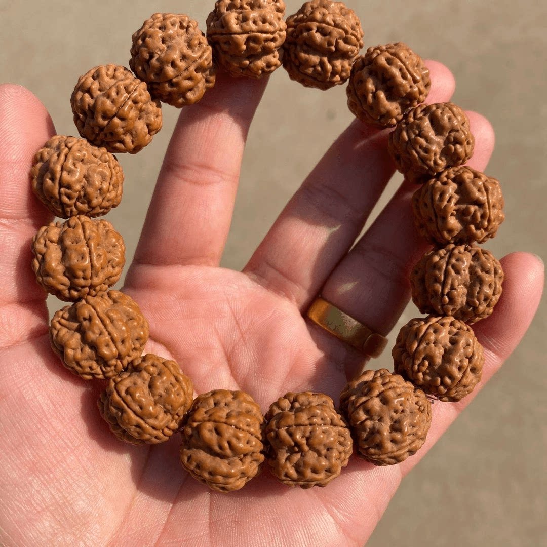 一等帝王花小金刚 霸王花纯天然原籽手串 男款女款盘玩单圈图片