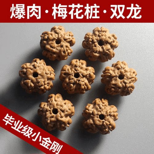 小金刚菩提子手串108颗梅花桩双龙纹树王树神盘龙纹蜂窝原籽佛珠