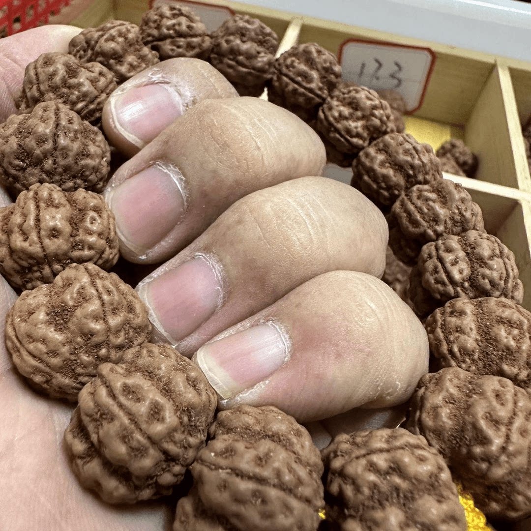 老树帝王花小金刚手串五星龙爪花王双龙纹梅花桩小金刚菩提子单圈图片