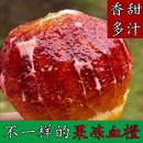 血橙当季 水果新鲜采摘正宗长寿湖塔罗科10斤手剥红心雪脐果冻橙子