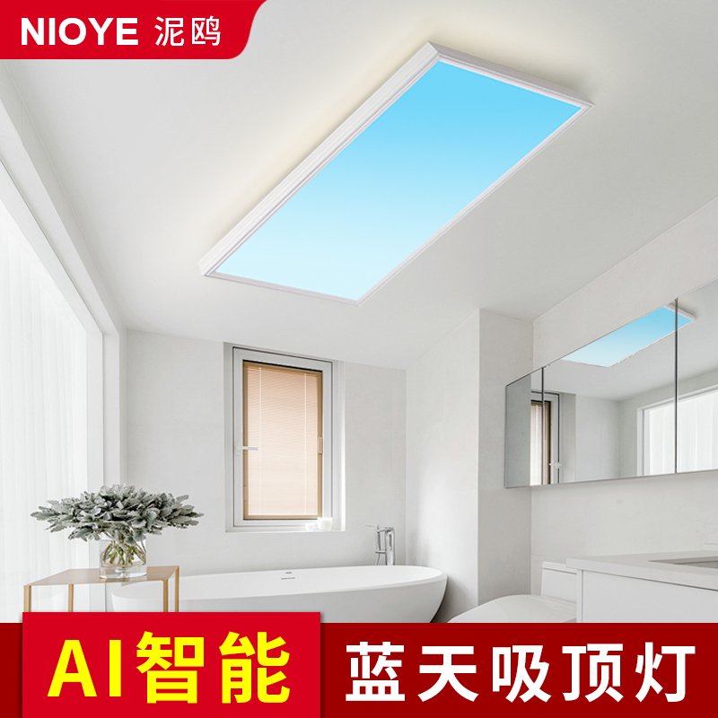 厕所专用吸顶灯青晴天空灯卫生间