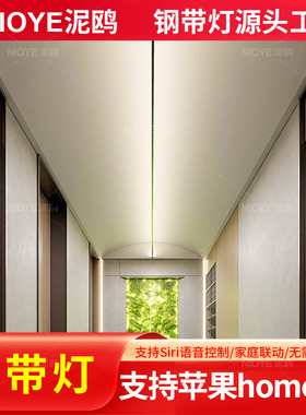 NIOYE钢带灯钢丝灯条支持siri苹果homekit智能网红极简天际线灯