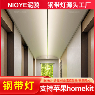 NIOYE钢带灯钢丝灯条支持siri苹果homekit智能网红极简天际线灯