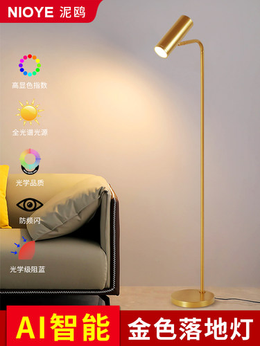 客厅落地灯沙发旁边高级感轻奢卧室书房金色射灯全光谱护眼落地灯