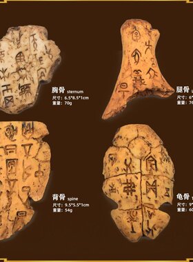 摆摊盒装甲骨文考古模型精致刻画环保树脂科教男孩儿童益智玩M-25