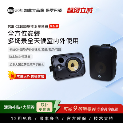 加拿大保罗巴顿PSB CS1000卡拉ok音箱ktv壁挂喇叭