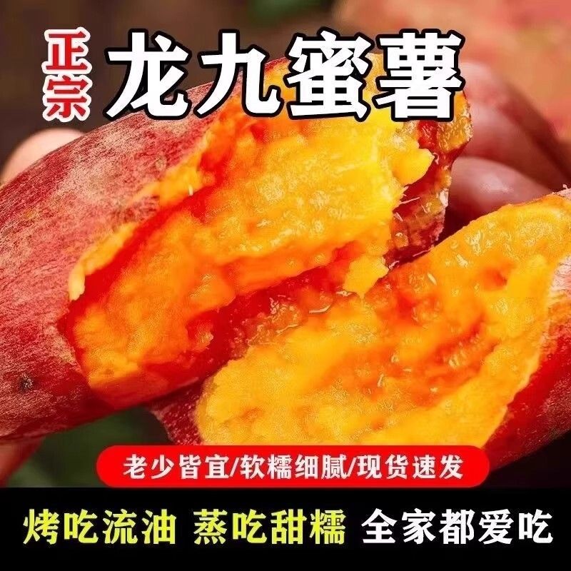 新鲜龙九黄金红蜜薯黄心软糯香甜