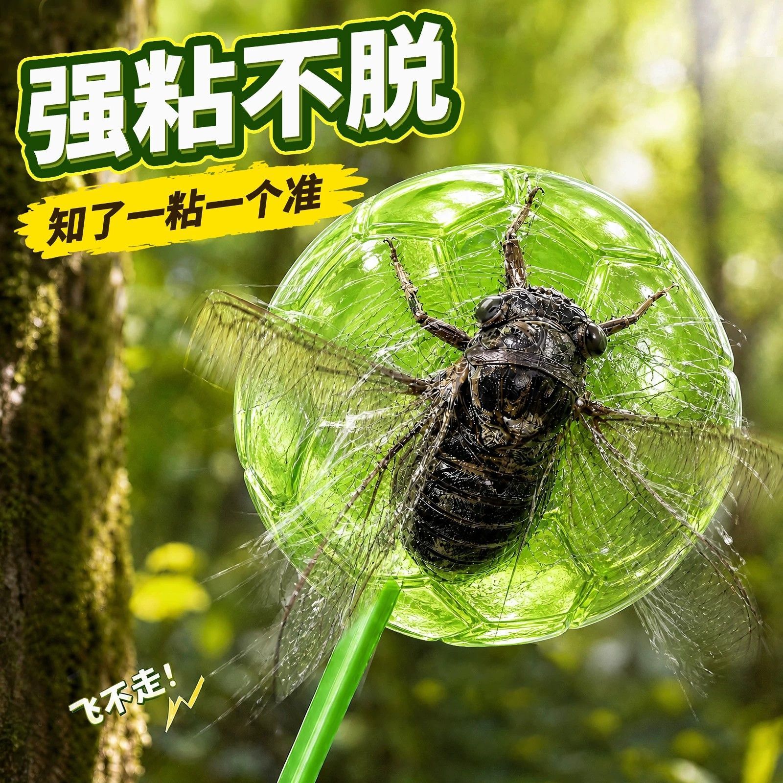 抓知了猴神器热卖夏季户外黏黏球