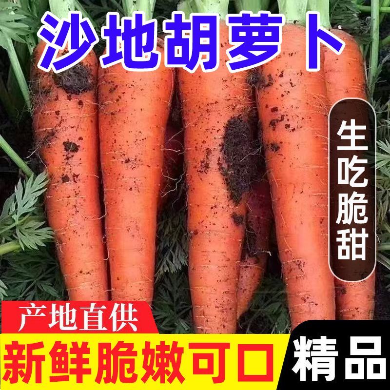 可口可生食应季新鲜蔬菜带泥萝卜