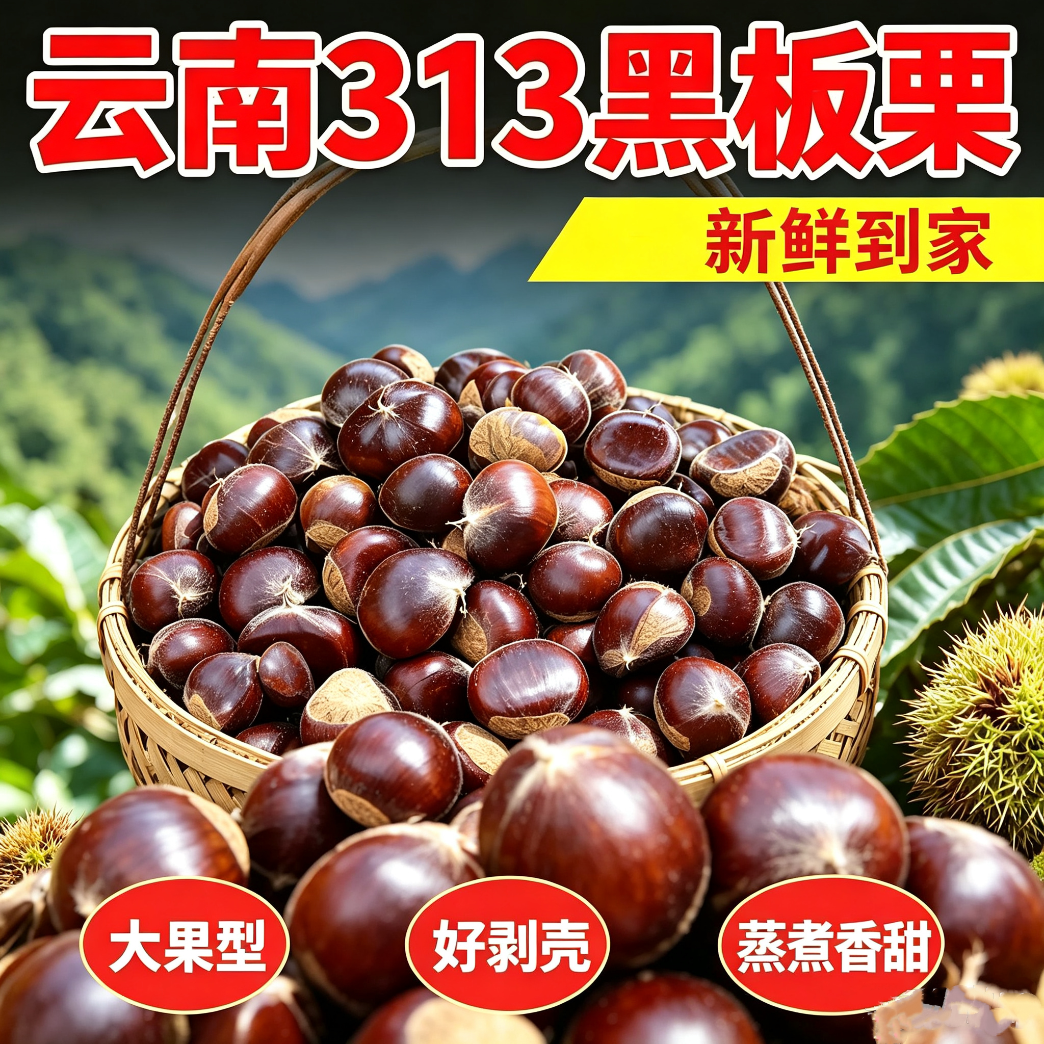 2026新货正宗农家新鲜板栗生栗子