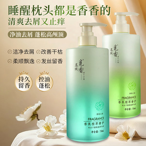 茶赋觅香去屑蓬松控油洗发水