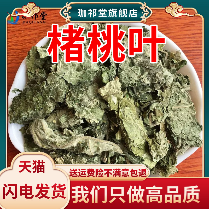楮桃叶中药材新货楮桃叶构树叶楮树叶褚桃叶干楮树叶谷树叶泡洗澡