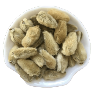 辛夷花中药材新货 木笔花 望春花 玉兰花 木兰花另售苍耳子