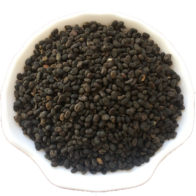 补骨脂中药500克新货干净