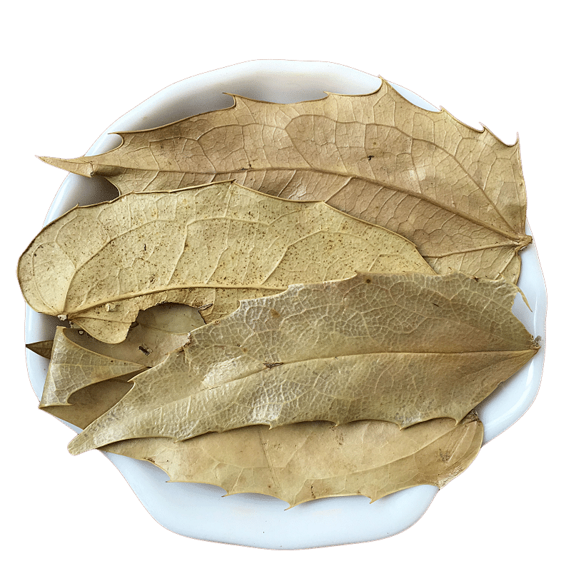 十大功劳叶中药材十大功劳功劳叶大片切片新鲜干货可打粉非枸骨叶