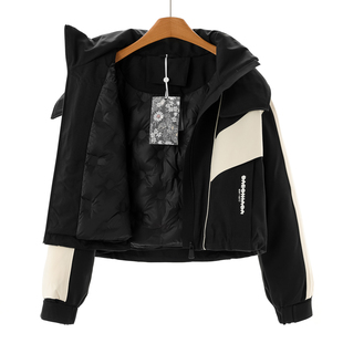 撞色连帽立领休闲冲锋短款 2588 冬装 弟 羽绒服650 鹅绒服