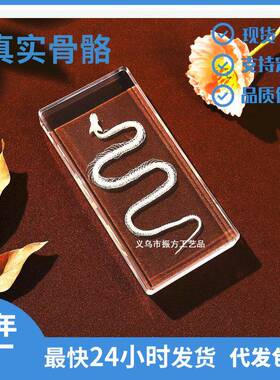 璟翎工艺真实骨骼标本蛇骨骼水晶生物科普教学礼品树脂工艺品摆件