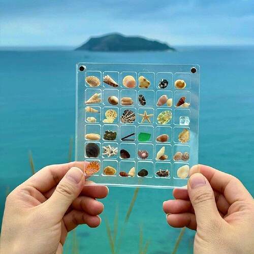 独立柱Acrylic Magnetic Seashell Display Box亚克力 贝壳展示盒