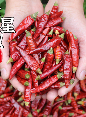 四川特香干辣椒二荆条七星椒小米辣朝天椒魔鬼椒灯笼海椒农家干货