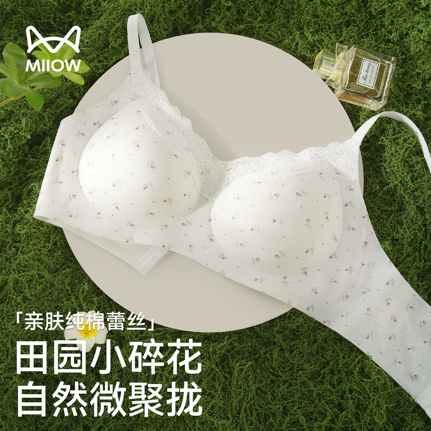 猫人内衣女小胸聚拢收副乳上托防下垂甜美蕾丝文胸罩2026新款爆款,女士内衣/男士内衣/家居服,文胸,淘宝优惠券,粉丝福利购,淘宝优惠卷