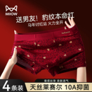 猫人本命年男士内裤男生红色四角裤男式马年2025新款平角短裤男款