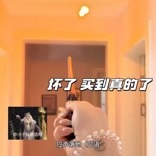哈利波特电影周边喷火魔